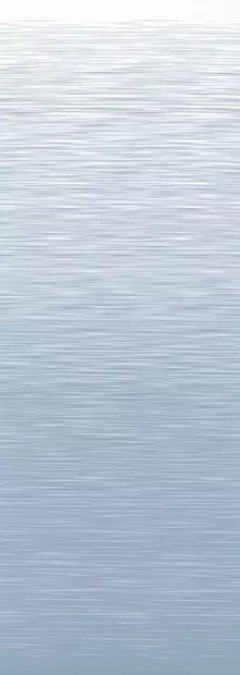 Thule markiisi Omnistor 9200 4,50 m, mystic/hopea - Kotelomarkiisit katolle Thule - 1000 - 2